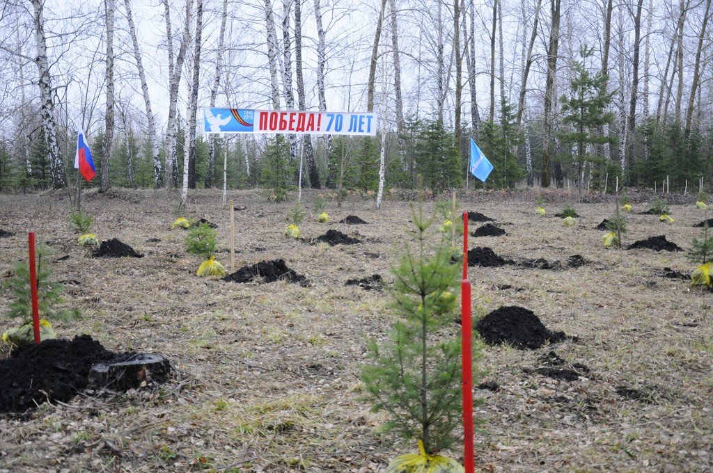 Альбом Министерство сельского, лесного хозяйства и природных ресурсов Ульяновской области высадили саженцы дугласии в рамках акции 
